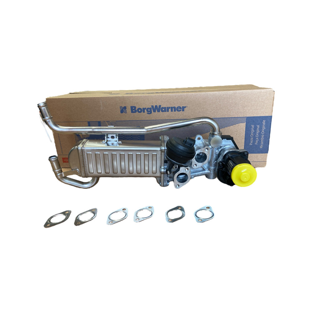 AGR_Modul_VAG_1_6TDI_BorgWarner_Wahler_710862D_Bild01