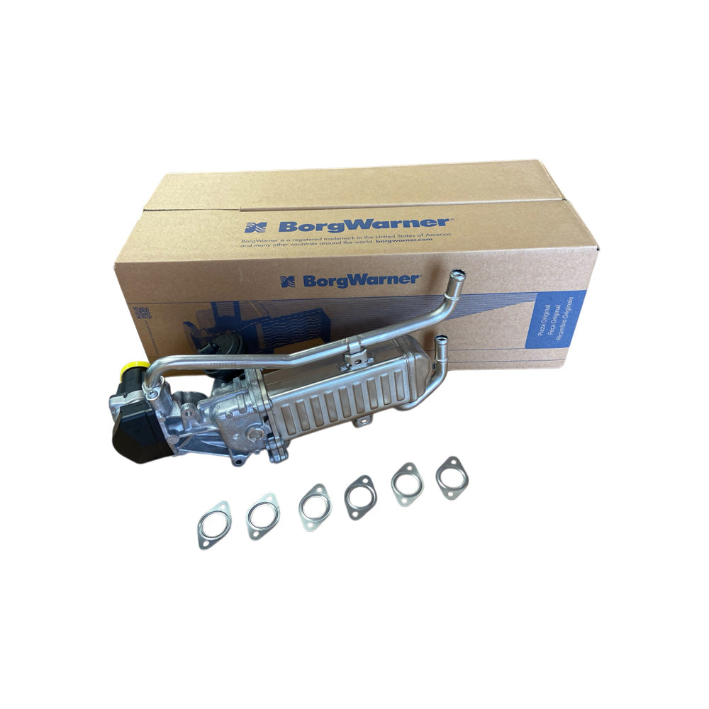 AGR_Modul_VAG_1_6TDI_BorgWarner_Wahler_710862D_Bild02