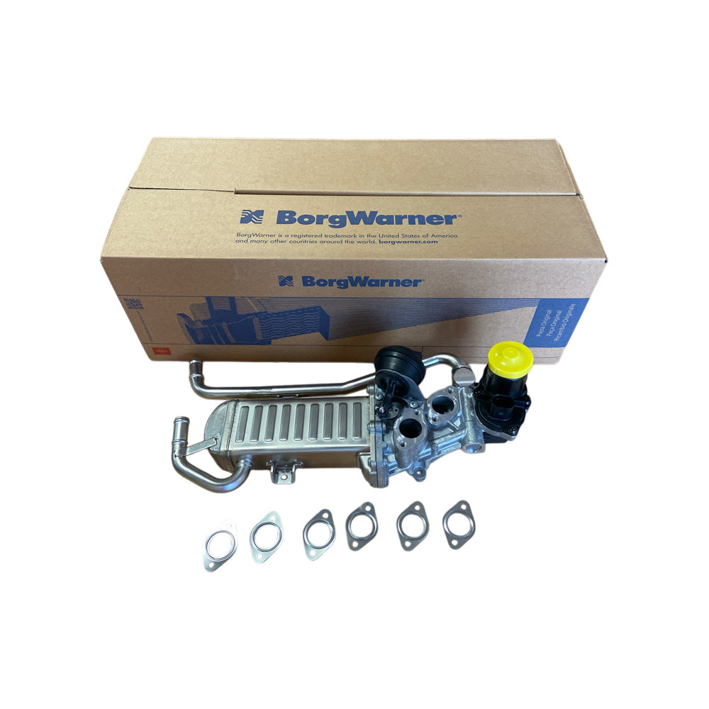 AGR_Modul_VAG_1_6TDI_BorgWarner_Wahler_710862D_Bild03